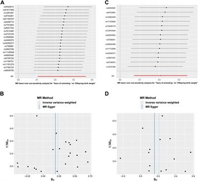 Educational attainment and offspring birth weight: A bidirectional Mendelian randomization study